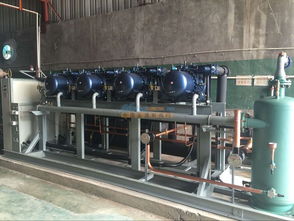 甘肅銷量領(lǐng)先的冷庫(kù)技術(shù)與張掖冷庫(kù)機(jī)械設(shè)備安裝銷售指南